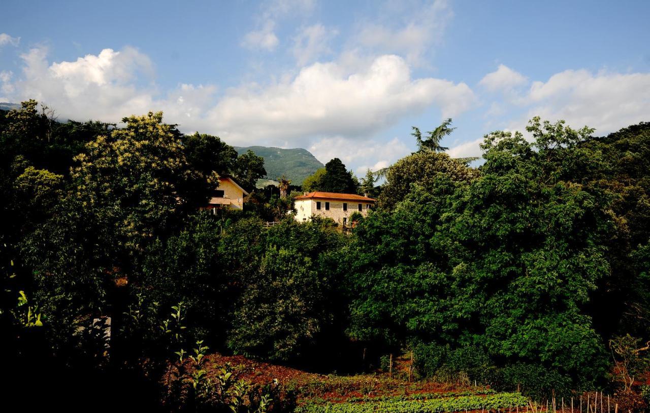 Country House Sezze Esterno foto