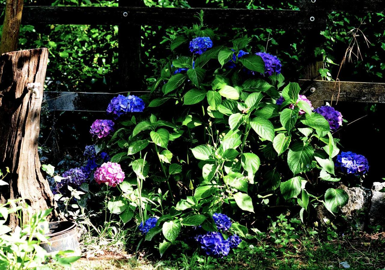Country House Sezze Esterno foto
